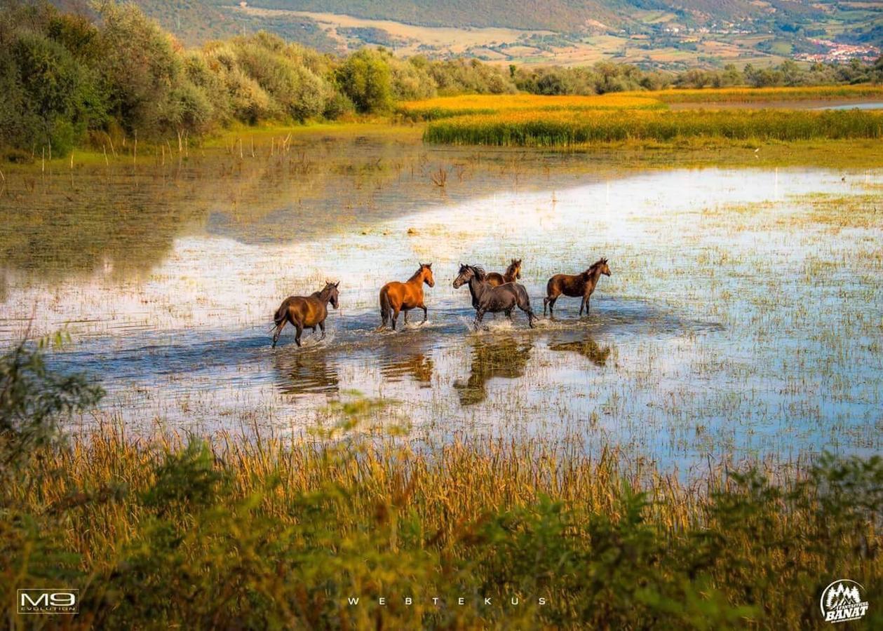 Clisura Dunarii - Casa Giovanni Moldova Veche Buitenkant foto